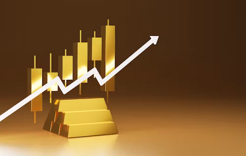 Plan 1 investment plan